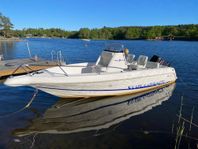 Wellcraft 190 CCF Walkaround  150 hästar Evinrude