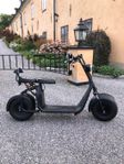 Fatbike PRO 2000W 2-sitsig