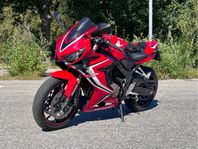 Honda CBR650R | Mivv helsystem | Quick shifter