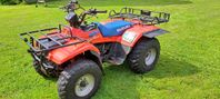 Suzuki Quad Runner