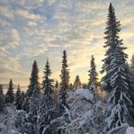 husvagn platser att hyra   i sportcamping.akersjon