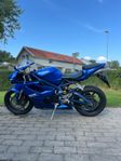 Triumph Daytona 675, 800 mil. 