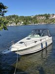 Sea ray sundancer 270 