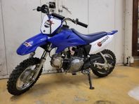 Yamaha ttr50