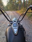 vn800 chopper/bobber/rat