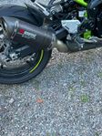 AKRAPOVIC Slipon Z900 2019