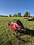 Polaris Pro Rmk 850