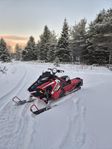 Polaris Pro Rmk 850