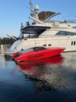 Chris Craft Stinger 202 V8