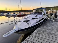 Bayliner 2455 Ciera Sunbridge (1989)