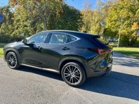 Lexus NX 350h Business OBS fyrhjulsdriven -24