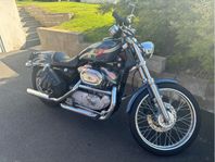 Harley Davidson Sportster 883XL Custom