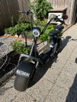 Wattaride elscooter