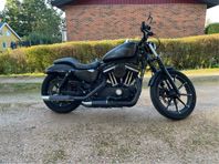 Sportster Iron 