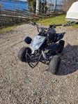 loncin 125cc quadsnake