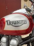 Triumph america till höstpris 