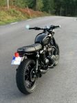 Triumph Bonneville T120 Black Remus Baak HÖSTPRIS