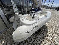 Williams Jet tender 325 2010