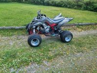 Yamaha Raptor 700R Dresel