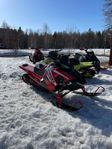 Polaris PRO RMK 850 2019 Pidd