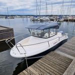 2013 Seamaster 670 Sportfisher trendline Honda 115D 