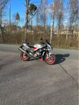 Aprilia Tuono 1000R -04