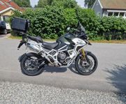 Triumph Tiger Rally Explorer 