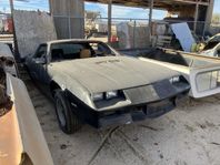 82-92 Camaro Firebird Trans Am gaskolvar huvar skärmar mm