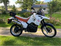 Suzuki DR750 Big