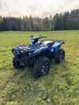 Yamaha grizzly 700 eps se