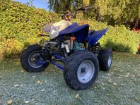 ATV BASHAN BS200S-7