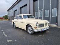 Volvo Amazon