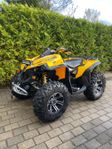 Can-am renegade 800