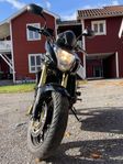 Honda Hornet CB600