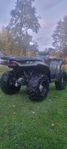 polaris sportsman 300 awd