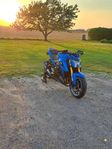 Suzuki gsxs 1000 