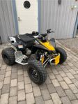 Can-Am DS 90 X