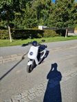 Niu M+sport moped klass 1