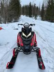 Polaris PRO RMK 850 -19