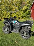 CF Moto CF Force 450s