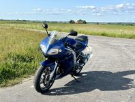 Suzuki sv1000s