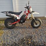 Yamaha Big Wheel 200