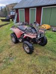 Polaris TrailBoss 250 2 takt 4x4