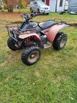 Polaris TrailBoss 250 2 takt 4x4