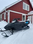 Arctic cat 800 -10