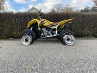 Suzuki LTZ 400 Dresel