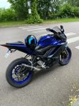 Yamaha R3+