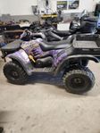 Polaris Sportsman 500