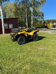 Can am 650 outlander xt 