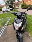 Drax Raw 2021, EU-Moped